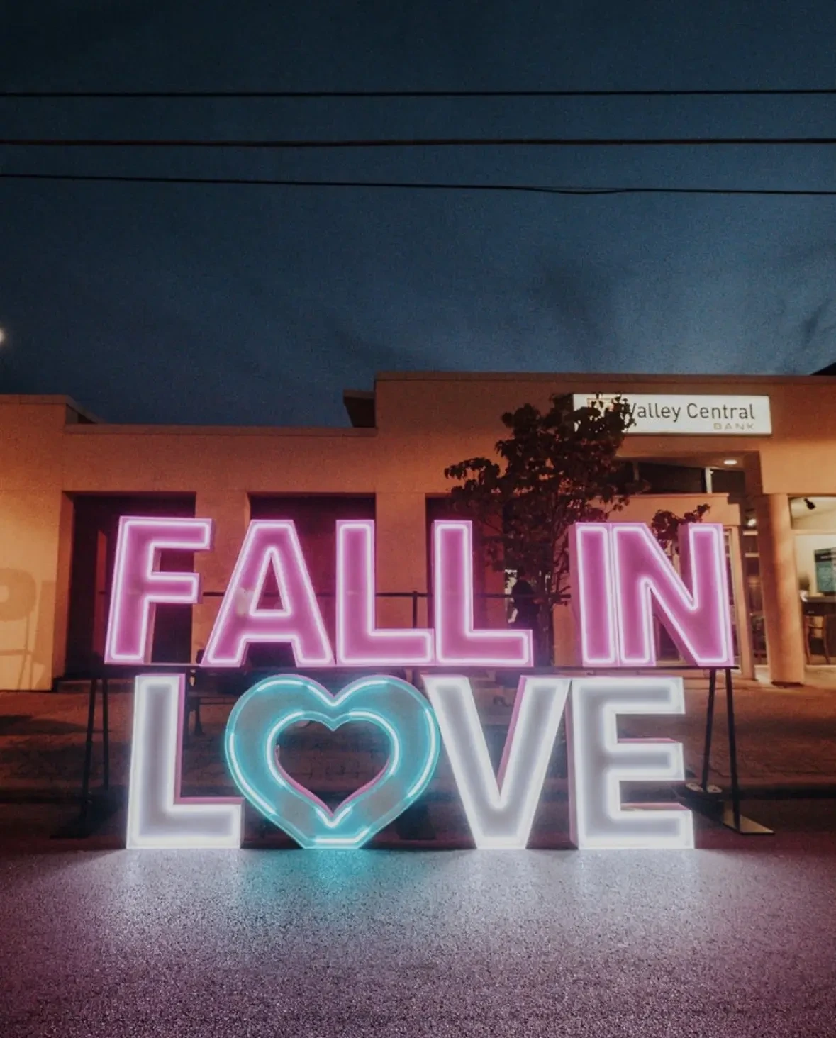 Fall in Love with the Reading Bridal District: What to Expect at White Wisteria’s 2026 Fall in Love Wedding Show Background